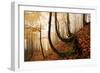 Mystic Autumn Forest-Stefan Hefele-Framed Giclee Print