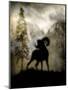 Mystic Big Horn-LightBoxJournal-Mounted Giclee Print