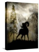 Mystic Big Horn-LightBoxJournal-Stretched Canvas