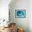 Mystic Bleu-Lanie Loreth-Framed Art Print displayed on a wall