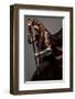 Mystic Elf Woman With Sword-null-Framed Art Print