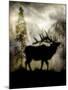 Mystic Elk-LightBoxJournal-Mounted Giclee Print