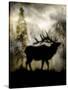 Mystic Elk-LightBoxJournal-Stretched Canvas