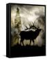 Mystic Elk-LightBoxJournal-Framed Stretched Canvas