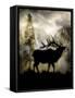 Mystic Elk-LightBoxJournal-Framed Stretched Canvas