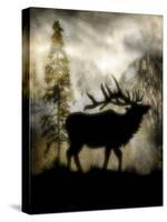 Mystic Elk-LightBoxJournal-Stretched Canvas