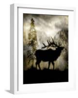 Mystic Elk-LightBoxJournal-Framed Giclee Print