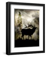 Mystic Elk-LightBoxJournal-Framed Premium Giclee Print