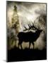 Mystic Elk-LightBoxJournal-Mounted Premium Giclee Print