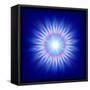 Mystic Flower-marinini-Framed Stretched Canvas