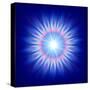 Mystic Flower-marinini-Stretched Canvas