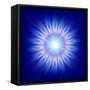 Mystic Flower-marinini-Framed Stretched Canvas