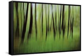 Mystic Forest 0921-Rica Belna-Framed Stretched Canvas