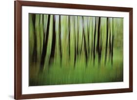 Mystic Forest 0921-Rica Belna-Framed Giclee Print