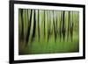 Mystic Forest 0921-Rica Belna-Framed Giclee Print