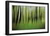 Mystic Forest 0921-Rica Belna-Framed Giclee Print