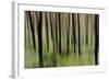 Mystic Forest 1251-Rica Belna-Framed Giclee Print