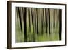 Mystic Forest 1251-Rica Belna-Framed Giclee Print