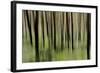 Mystic Forest 1251-Rica Belna-Framed Giclee Print