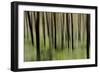 Mystic Forest 1251-Rica Belna-Framed Giclee Print