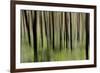 Mystic Forest 1251-Rica Belna-Framed Giclee Print