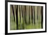 Mystic Forest 1251-Rica Belna-Framed Giclee Print