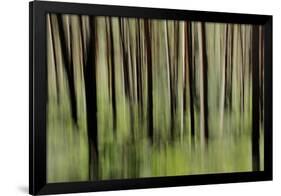 Mystic Forest 1251-Rica Belna-Framed Giclee Print