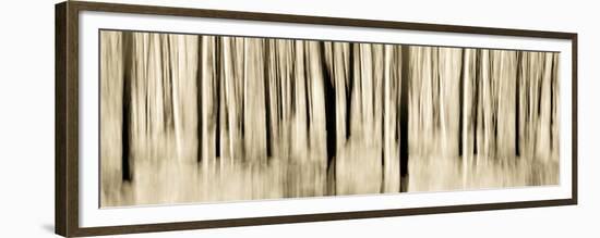 Mystic Forest 1252 Panoramic-Rica Belna-Framed Giclee Print