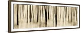 Mystic Forest 1252 Panoramic-Rica Belna-Framed Giclee Print