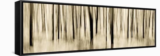 Mystic Forest 1252 Panoramic-Rica Belna-Framed Stretched Canvas
