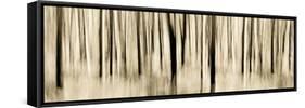 Mystic Forest 1252 Panoramic-Rica Belna-Framed Stretched Canvas