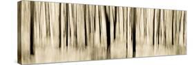 Mystic Forest 1252 Panoramic-Rica Belna-Stretched Canvas