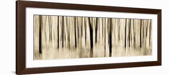 Mystic Forest 1252 Panoramic-Rica Belna-Framed Giclee Print