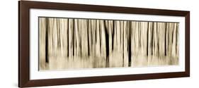 Mystic Forest 1252 Panoramic-Rica Belna-Framed Giclee Print