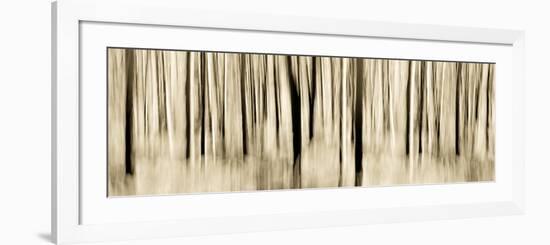 Mystic Forest 1252 Panoramic-Rica Belna-Framed Giclee Print