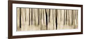 Mystic Forest 1252 Panoramic-Rica Belna-Framed Giclee Print