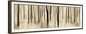 Mystic Forest 1252 Panoramic-Rica Belna-Framed Giclee Print