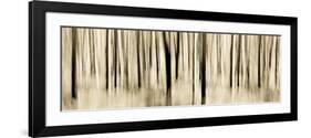 Mystic Forest 1252 Panoramic-Rica Belna-Framed Giclee Print