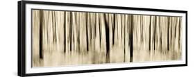 Mystic Forest 1252 Panoramic-Rica Belna-Framed Giclee Print