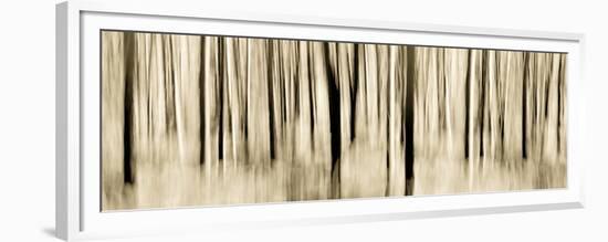 Mystic Forest 1252 Panoramic-Rica Belna-Framed Giclee Print