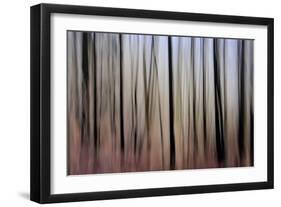 Mystic Forest 1270-Rica Belna-Framed Giclee Print