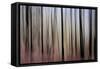 Mystic Forest 1270-Rica Belna-Framed Stretched Canvas