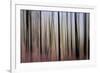 Mystic Forest 1270-Rica Belna-Framed Giclee Print