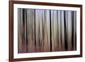 Mystic Forest 1270-Rica Belna-Framed Giclee Print