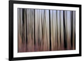 Mystic Forest 1270-Rica Belna-Framed Giclee Print