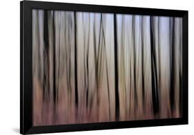 Mystic Forest 1270-Rica Belna-Framed Premium Giclee Print