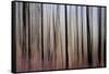 Mystic Forest 1270-Rica Belna-Framed Stretched Canvas