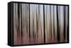 Mystic Forest 1270-Rica Belna-Framed Stretched Canvas