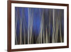 Mystic Forest 1287-Rica Belna-Framed Giclee Print