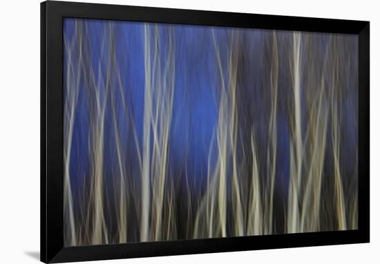 Mystic Forest 1287-Rica Belna-Framed Giclee Print